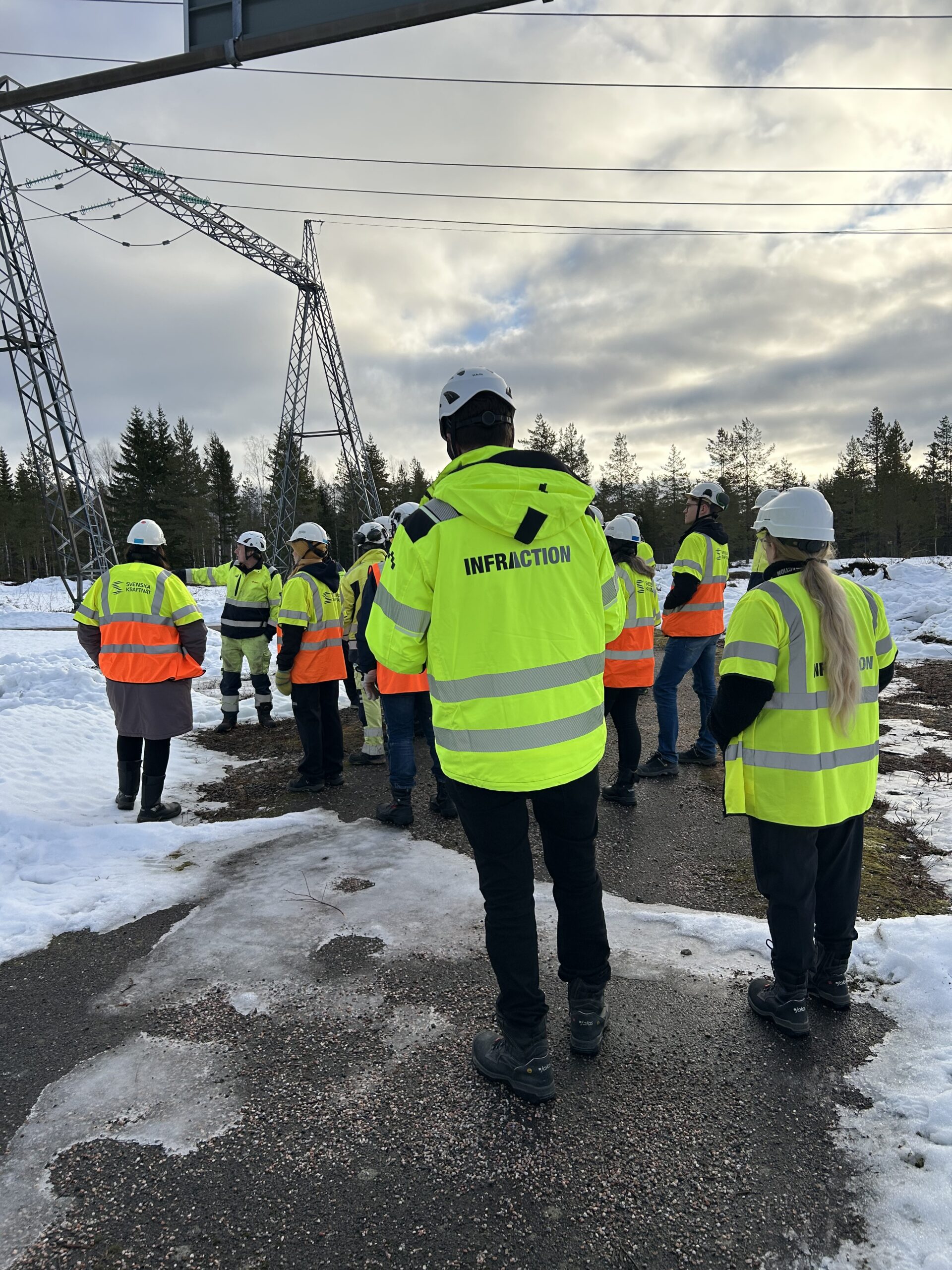 Vi är med och startar upp nya projekt inom den gröna omställningen!